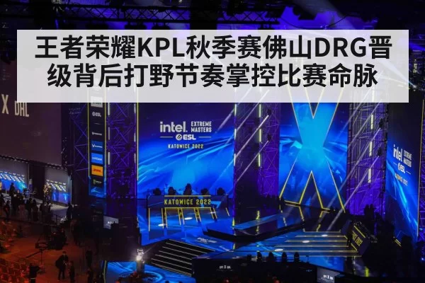 王者荣耀KPL秋季赛佛山DRG晋级背后打野节奏掌控比赛命脉